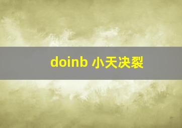 doinb 小天决裂